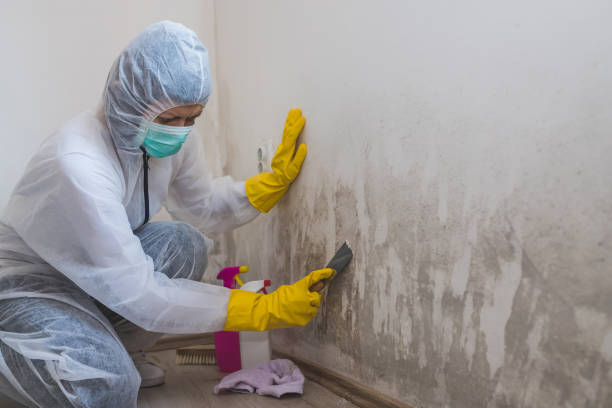 Certified Mold Removal in Hapeville, GA