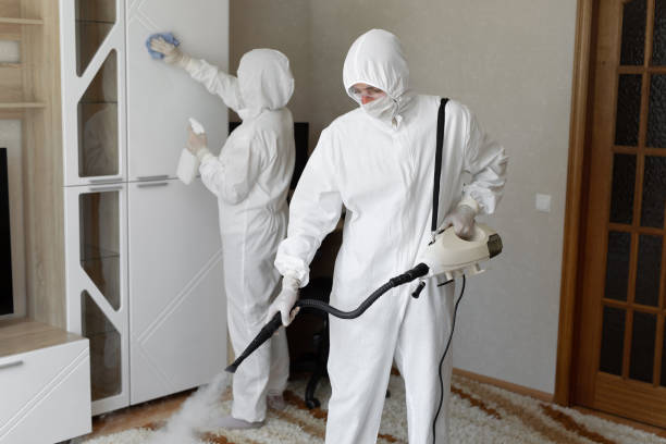 Best Toxic Mold Removal  in Hapeville, GA