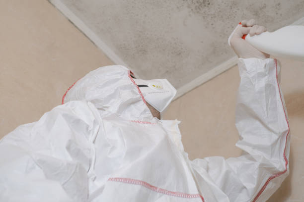 Best Office Mold Removal Services  in Hapeville, GA