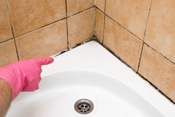 Best Fast Mold Removal  in Hapeville, GA